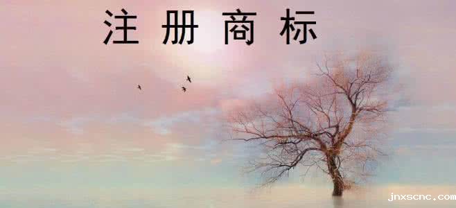 商标还没注册成功可以使用商标吗？