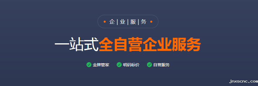 股东出资比例与分配填写